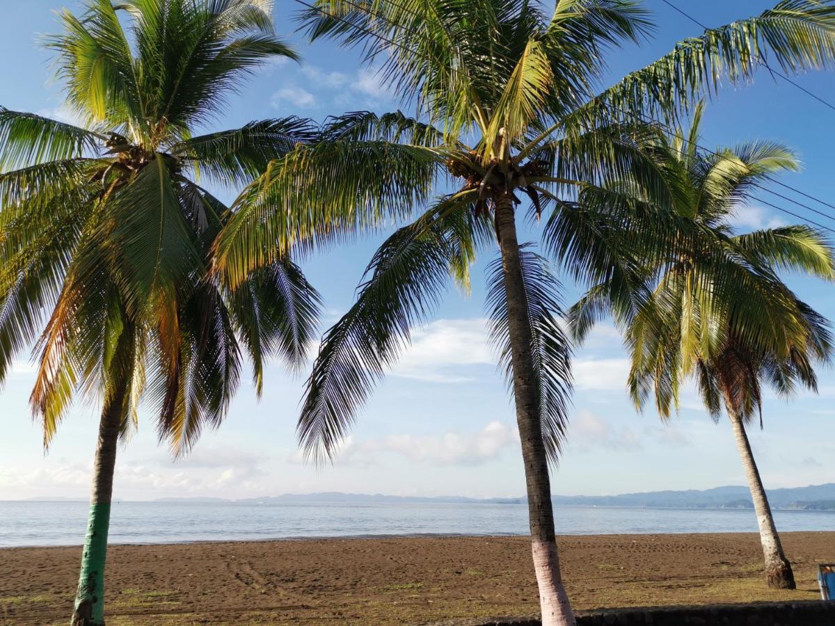 Puntarenas Bed & Coffee By Aldea Hotel Eksteriør billede